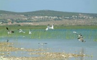 PARK PRIRODE VRANSKO JEZERO
