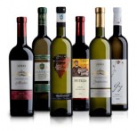 AGROKOR VINA