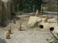 ZOOLOŠKI VRT ZAGREB